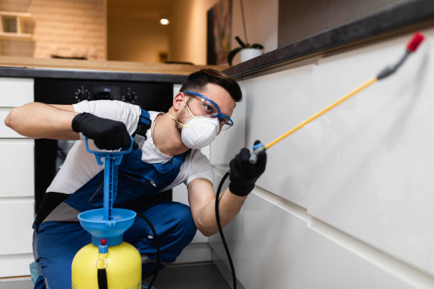 Best Cockroach Control Services  in Velda City, MO