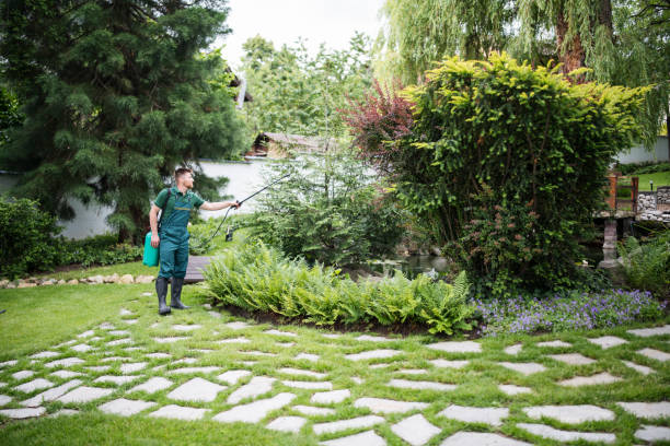 Best Mosquito Control Services  in Velda City, MO