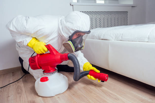 Best Local Pest Control Services  in Velda City, MO