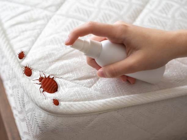 Best Pest Removal Services  in Velda City, MO