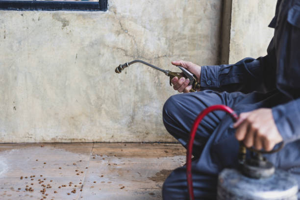 Best Best Pest Control Companies  in Velda City, MO